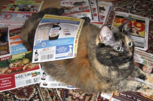 cat_coupons cat_coupons